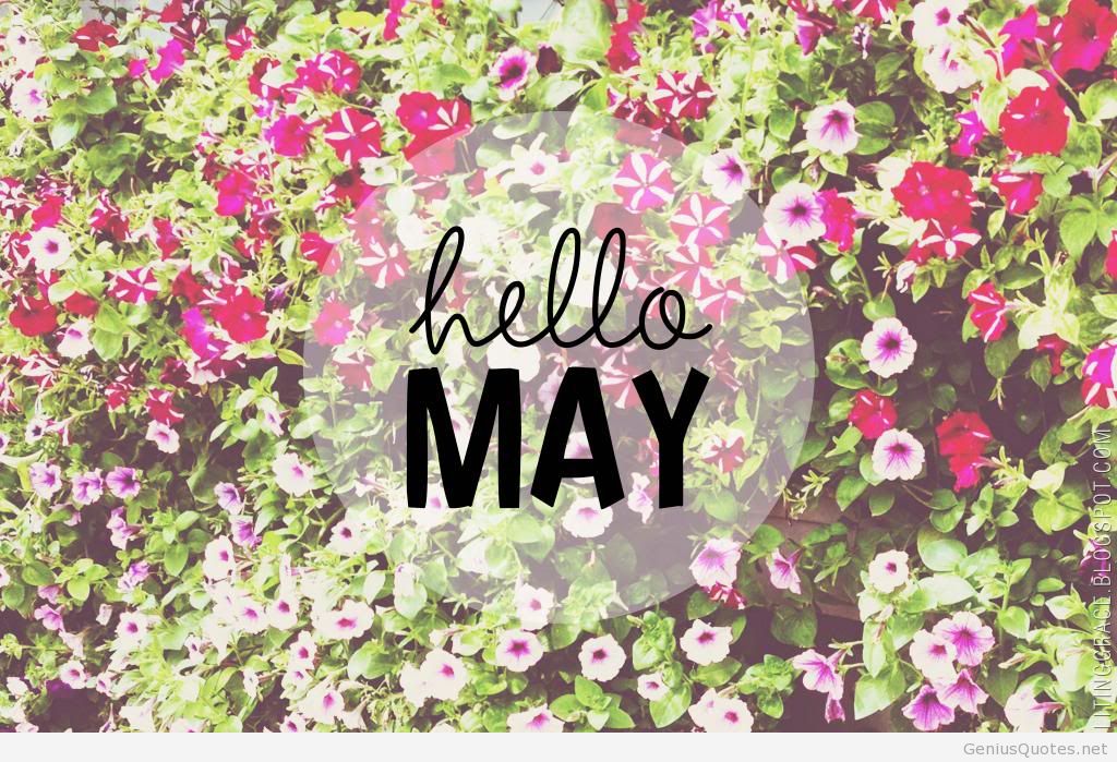 hd wallpaper hello may